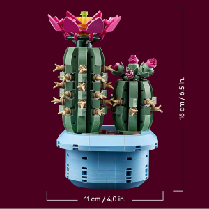BOTANICALS- CACTUS IN FIORE