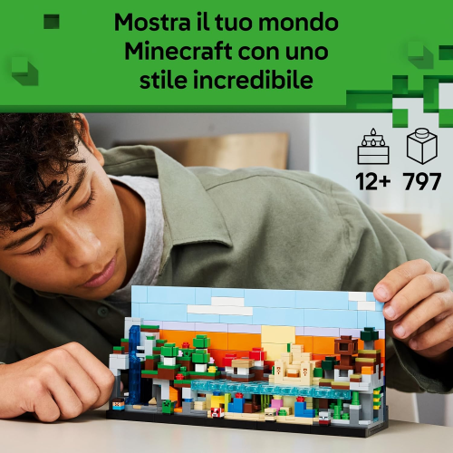 MINECRAFT - MINI BIOMI
