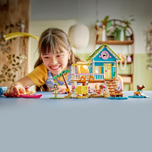 FRIENDS- CASA SULLA SPIAGGIA CON FOCHE