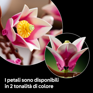 BOTANICALS- RAMETTI DI MAGNOLIA