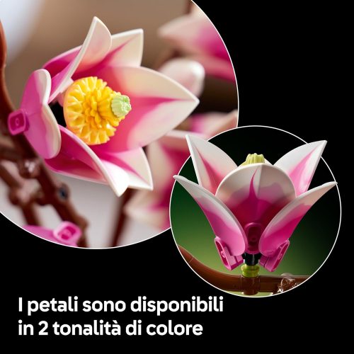 BOTANICALS- RAMETTI DI MAGNOLIA