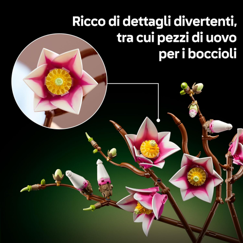 BOTANICALS- RAMETTI DI MAGNOLIA