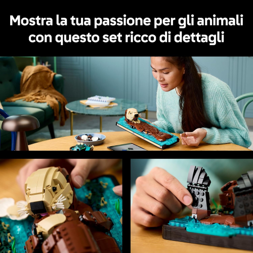 ICONS - LONTRE MARINE