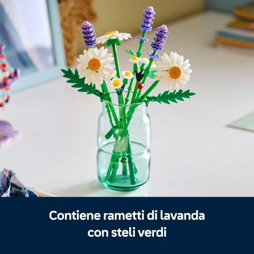 BOTANICALS- MARGHERITE