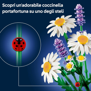 BOTANICALS- MARGHERITE