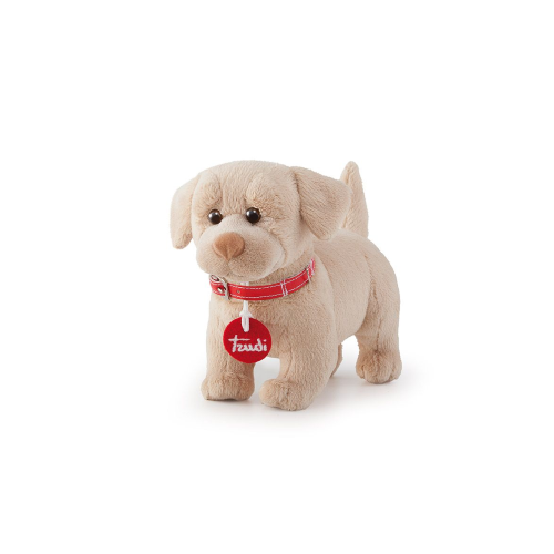 PEL.- PETS LOVE TRUDY