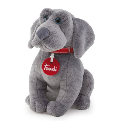 PEL.- PETS LOVE TRUDY