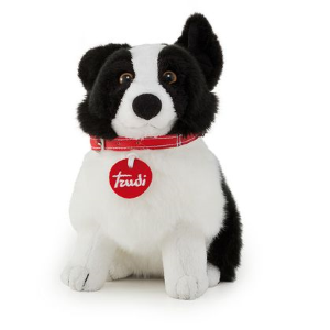 PEL.- PETS LOVE TRUDY