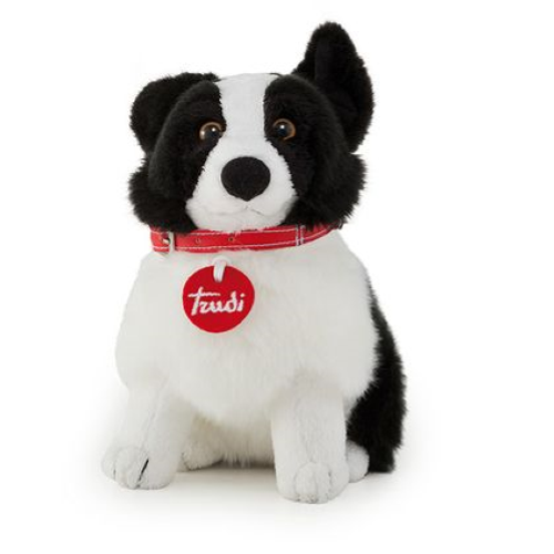 PEL.- PETS LOVE TRUDY