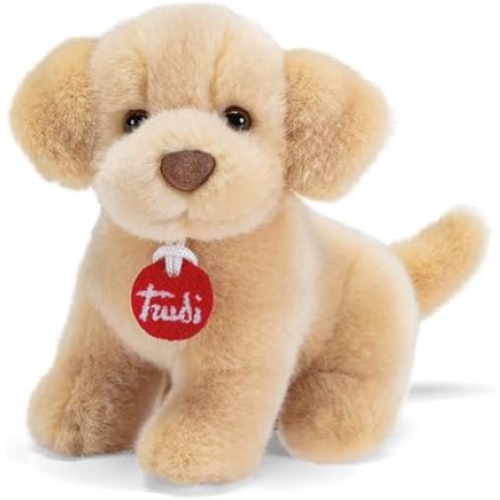 PEL.- TRUDINO LABRADOR