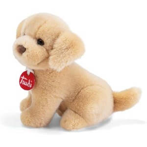 PEL.- TRUDINO LABRADOR