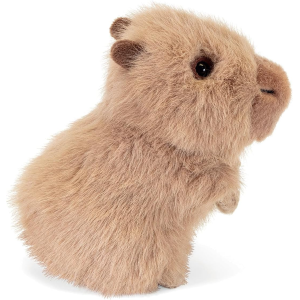 PEL.- TRUDINO CAPIBARA