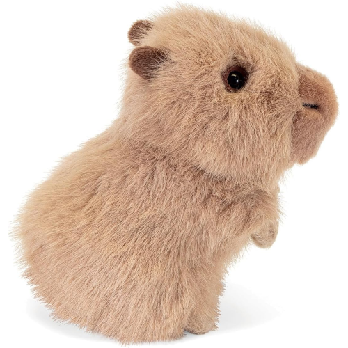 PEL.- TRUDINO CAPIBARA