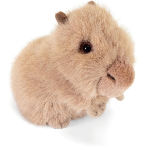 PEL.- TRUDINO CAPIBARA