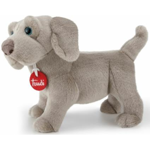 PEL.- CANE GRIGIO WELMARANER WOLFGANG S