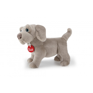 PEL.- CANE GRIGIO WELMARANER WOLFGANG S