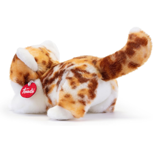 PEL.- GATTINO BRAD MACULATO S