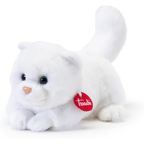 PEL.- GATTINO BRAD  S