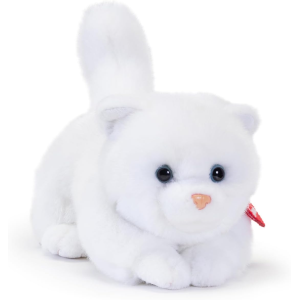 PEL.- GATTINO BRAD  S