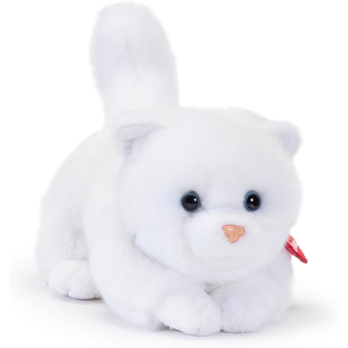 PEL.- GATTINO BRAD  S