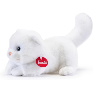 PEL.- GATTINO BRAD  S