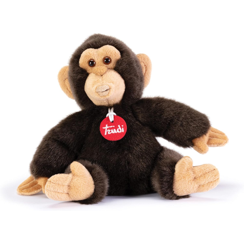 PEL.- SCIMMIA BISKO  S