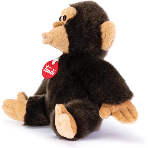 PEL.- SCIMMIA BISKO  S