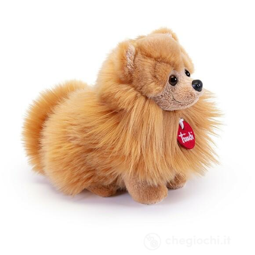PEL.- POMERANIA BISCUIT  S