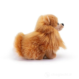 PEL.- POMERANIA BISCUIT  S