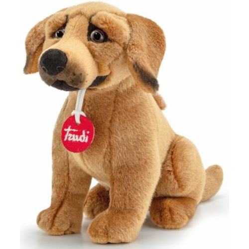 PEL.- CANE RHODESIAN RIDGEBACK S