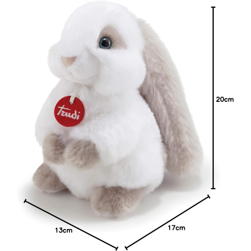 PEL.- CONIGLIO CLEMENTE S