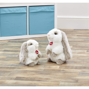 PEL.- CONIGLIO CLEMENTE S