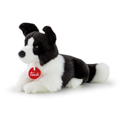 PEL.- BORDER COLLIE S