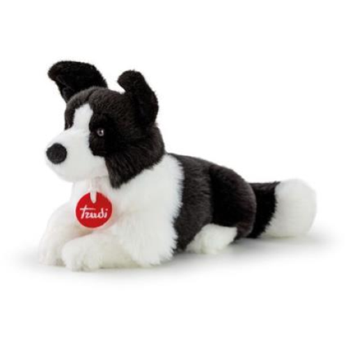 PEL.- BORDER COLLIE S