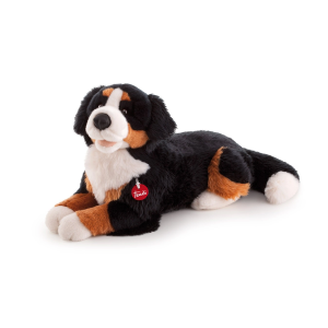 PEL.- BERNESE BRUCE CM.57