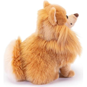 PEL.- POMERANIA BISCUIT  M