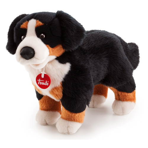 PEL.- BERNESE BRUCE CM.42