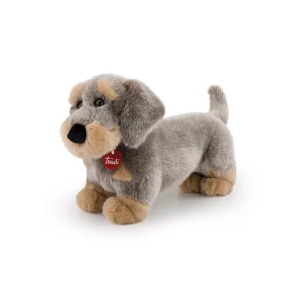 PEL.- BASSOTTO ANDREW P. RUVIDO