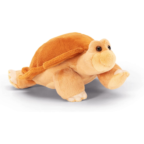 PEL.- TARTARUGA NINA  M