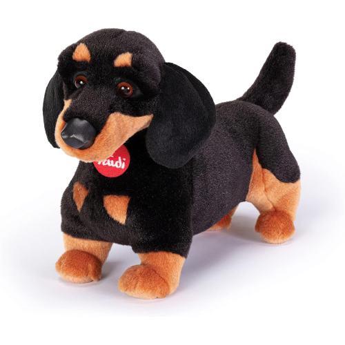 PEL.- BASSOTTO LEO  M