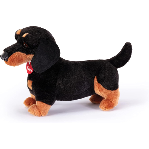 PEL.- BASSOTTO LEO  M