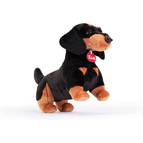 PEL.- BASSOTTO LEO  M