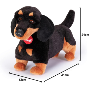 PEL.- BASSOTTO LEO  M