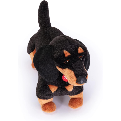 PEL.- BASSOTTO LEO  M