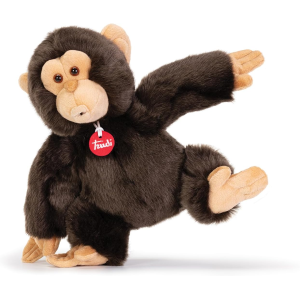 PEL.- SCIMMIA BISKO  M