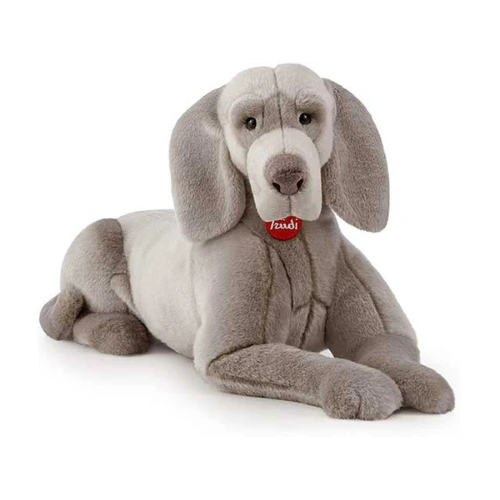 PEL.- CANE GRIGIO WELMARANER WOLFGANG XL