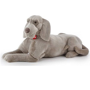 PEL.- CANE GRIGIO WELMARANER WOLFGANG XL
