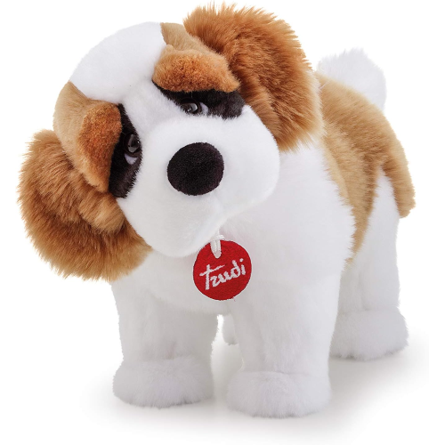 PEL.- SAN BERNARDO BOB  M