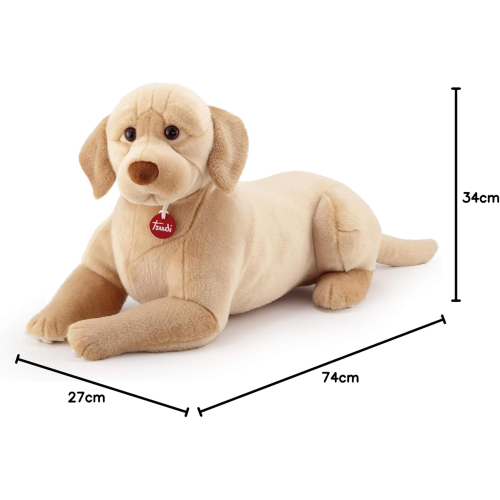 PEL.- LABRADOR LIAM  XL