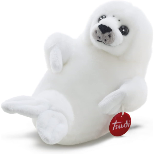 PEL.- FOCA  S